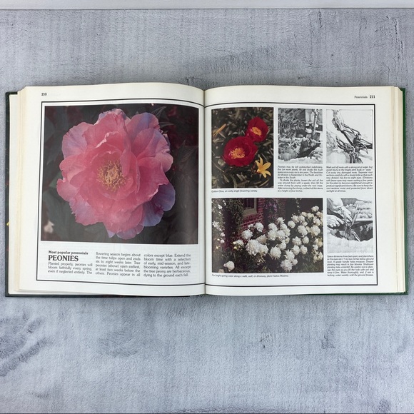 Better Homes & Gardens Complete Guide to Gardening 1979 Hardcover Book - Picture 7 of 11